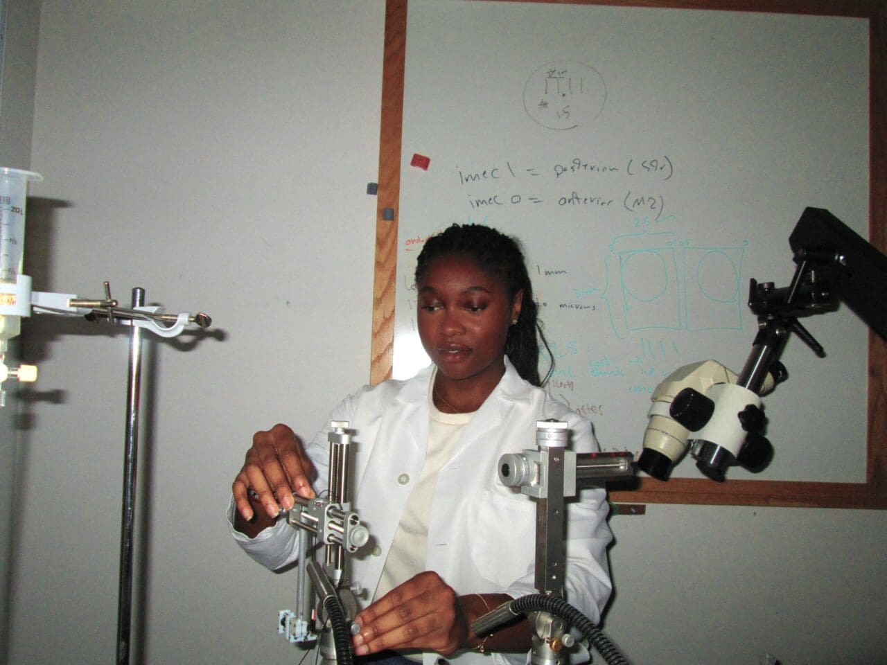 Adja Camara doing research at the Assad Lab at Harvard Medical School.