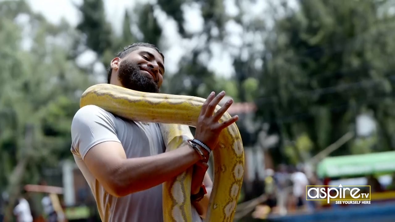 The Harlem Globetrotters: Secrets of the City - The Globetrotters Take on a New City